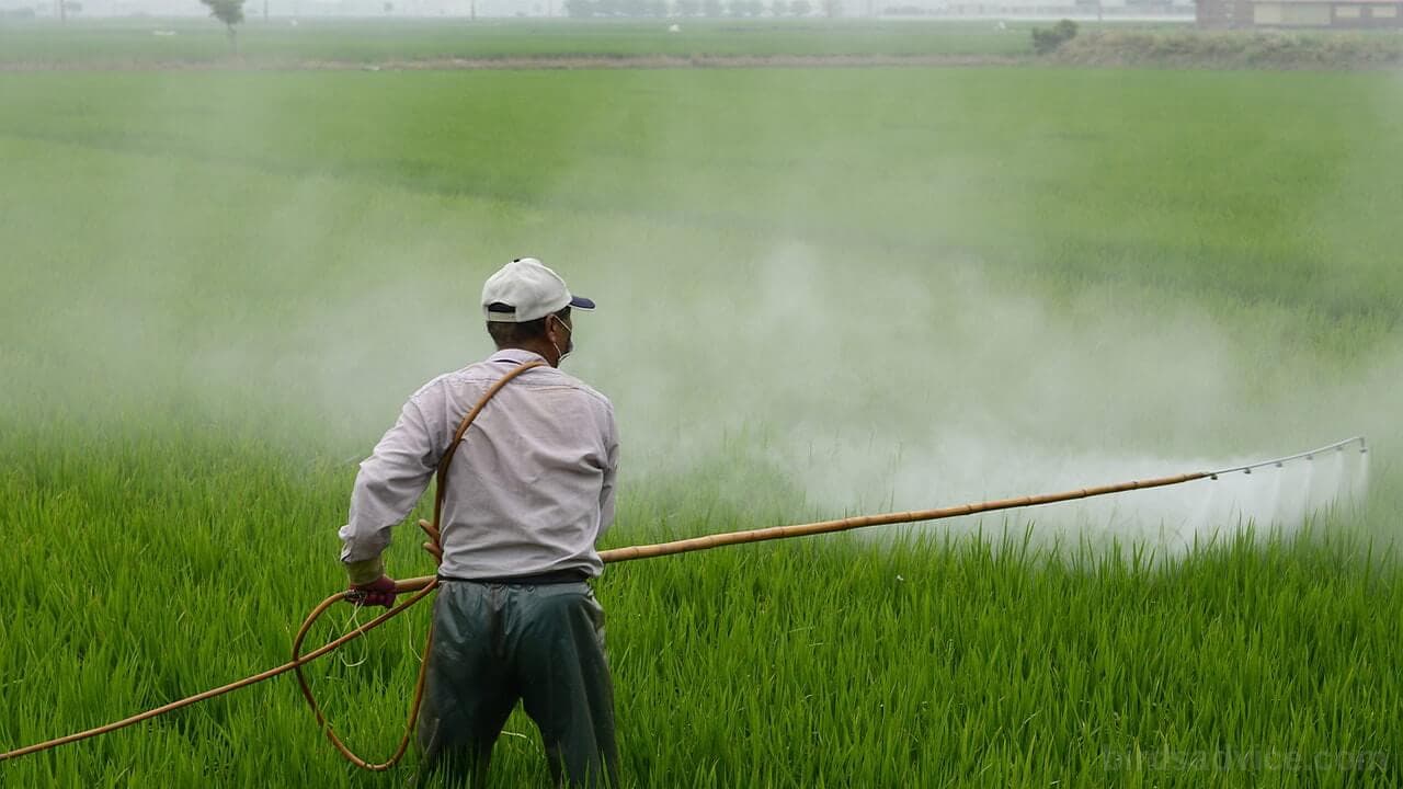 EPA Approves New PFAS Pesticides, Raising Concerns for Environment