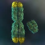 Hormone Therapy Transformations Reveal Profound Changes in Trans Women's Health