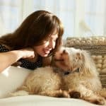 Pet Conversations Reveal Surprising Personality Traits That Matter Now