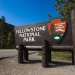 Forgotten Yellowstone Camera Reveals Stunning Decade of Wildlife Footage