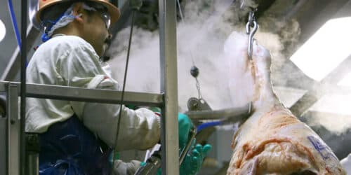 Tyson's Nebraska Beef Plant Closure Disrupts Local Economy and Ranchers