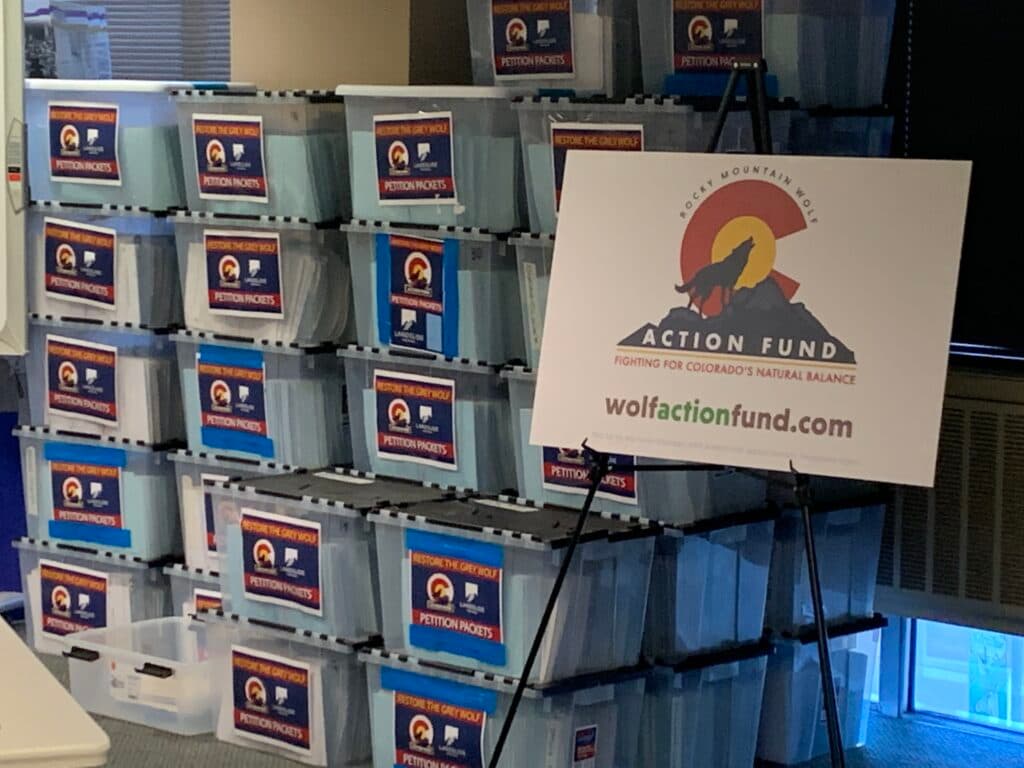 Colorado's Income Tax Overhaul Passes Initial Vote, Projected Hike Hits $4 Billion