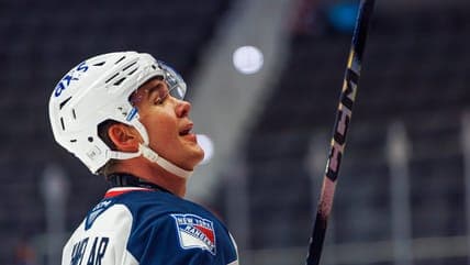 Jaroslav Chmelař Shines in AHL, Boosting Hartford Wolf Pack's Season