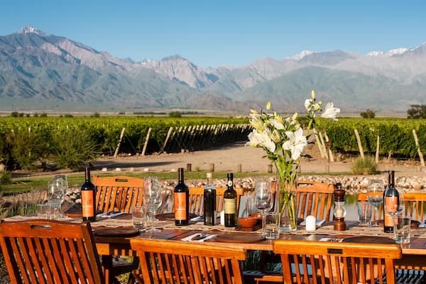 Discover 5 Unique Foodie Hotels Transforming Culinary Travel Experiences