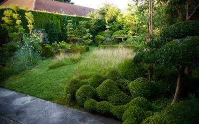 Niwaki Founder Jake Hobson Unveils Japanese-Inspired Mini-Forest Experience