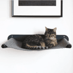 Discover Stylish Gifts for Your Pets This Holiday Season with Our 2025 Guide