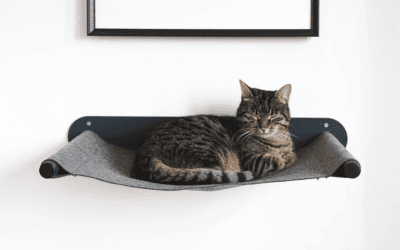 Discover Stylish Gifts for Your Pets This Holiday Season with Our 2025 Guide