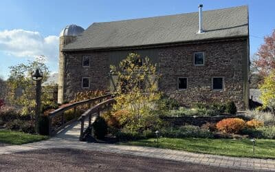 Discover November's Best Finds That Will Inspire Your Next Project