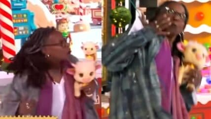 Whoopi Goldberg Faces Unexpected Incident Live on 'The View'