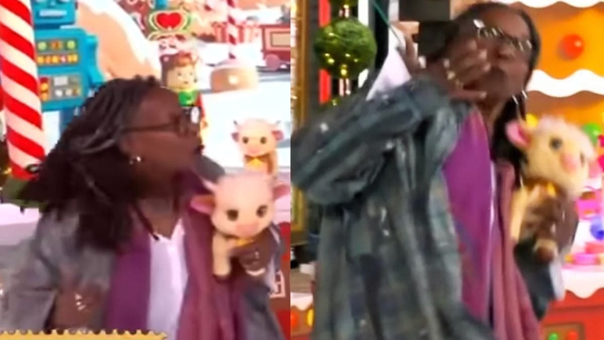 Whoopi Goldberg Faces Unexpected Incident Live on 'The View'